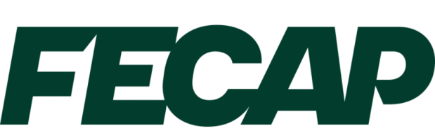 Graduação FECAP